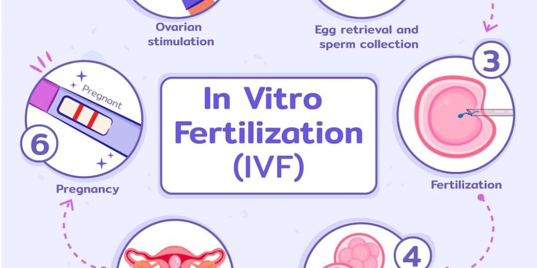 IVF COST IN INDIA/ CHENNAI ! IVF COST IN INDIA/ CHENNAI !