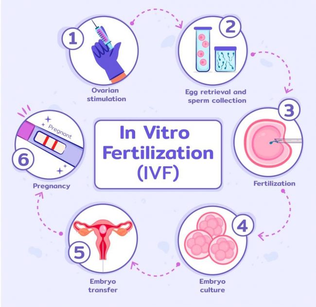IVF COST IN INDIA/ CHENNAI ! IVF COST IN INDIA/ CHENNAI !