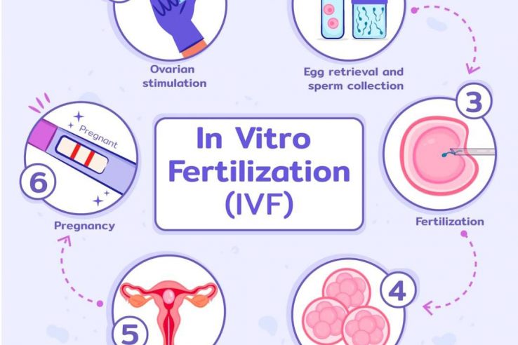 IVF COST IN INDIA/ CHENNAI !
