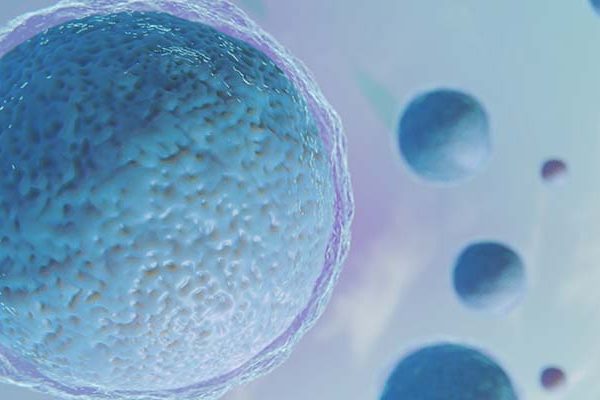 MEDICATIONS-USED-FOR-IVF