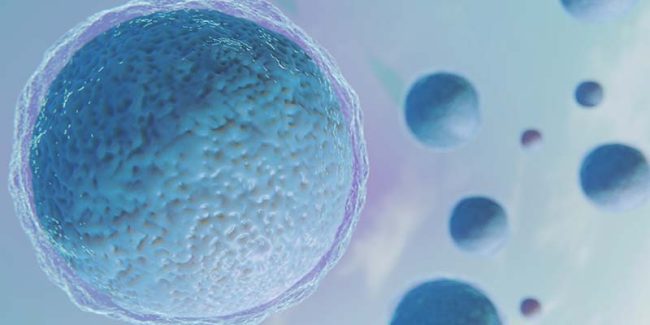 MEDICATIONS USED FOR IVF-JEEVAN MEDICATIONS-USED-FOR-IVF