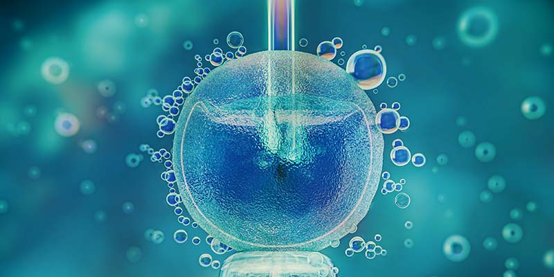 Ovulation Induction Ovulation Induction_jeevan women care clinic chennai