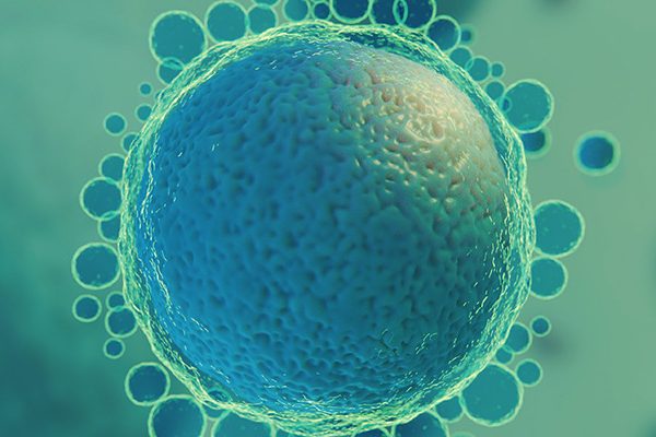 Reasons-for-IUI-failures-Jeevan