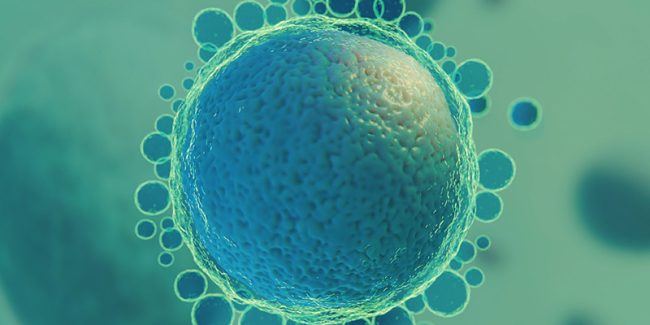 Reasons for IUI failures-Jeevan Reasons-for-IUI-failures-Jeevan