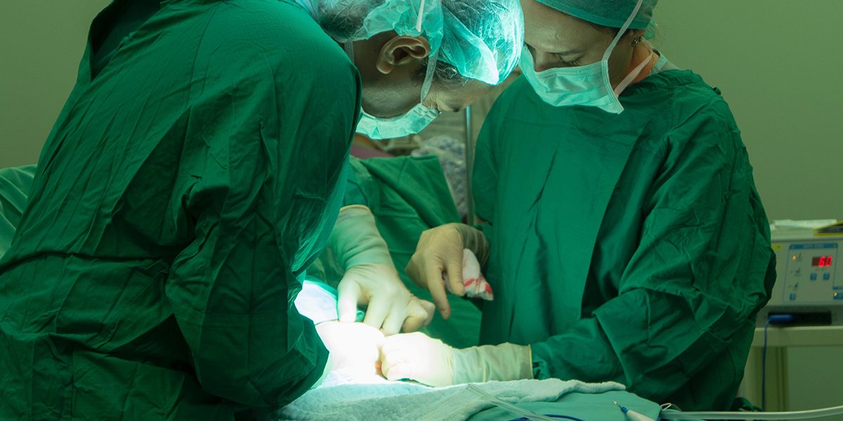 What to do after embryo transfer jeevan What to do after embryo transfer jeevan