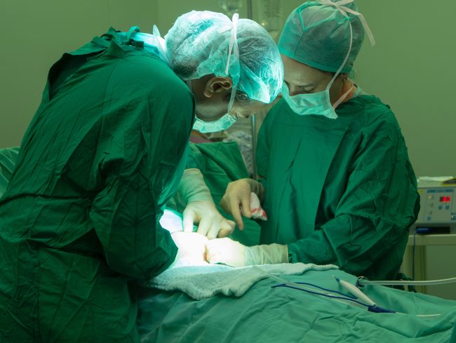 What to do after embryo transfer jeevan What to do after embryo transfer jeevan