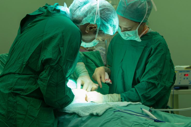 What to do after embryo transfer jeevan