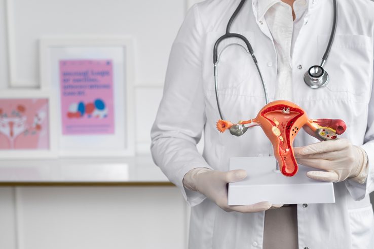 what is ovarian cyst_jeevan women care_ivf centre chennai