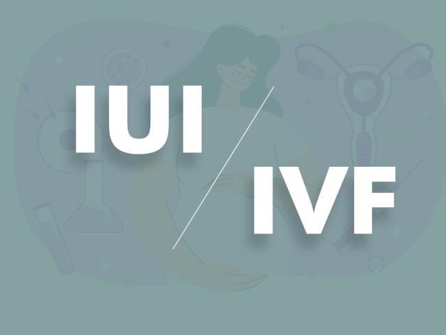 Difference between IUI and IVF