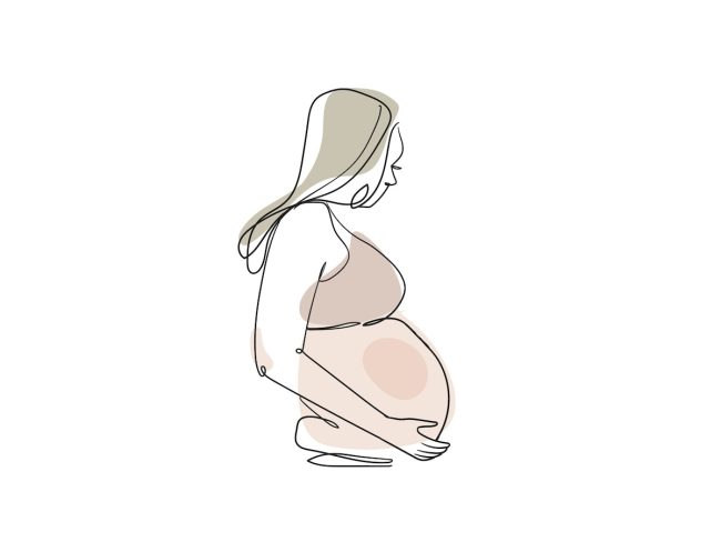 What is fertility window