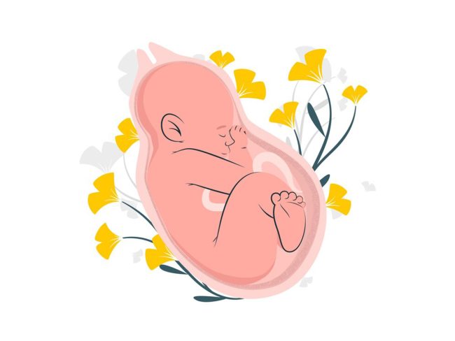 A guide to female birth control methods