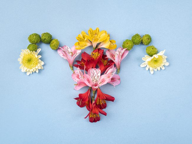 What is uterine fibroid Causes , symptoms and treatment for uterus health