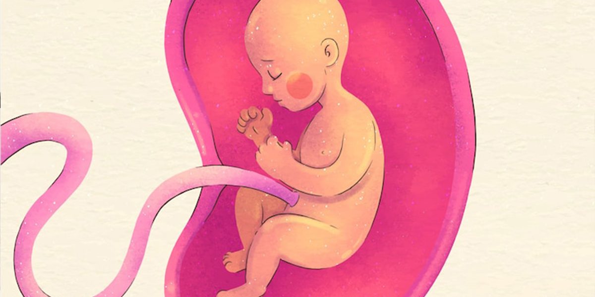 Exploring and Understanding Your Baby’s World in the Womb