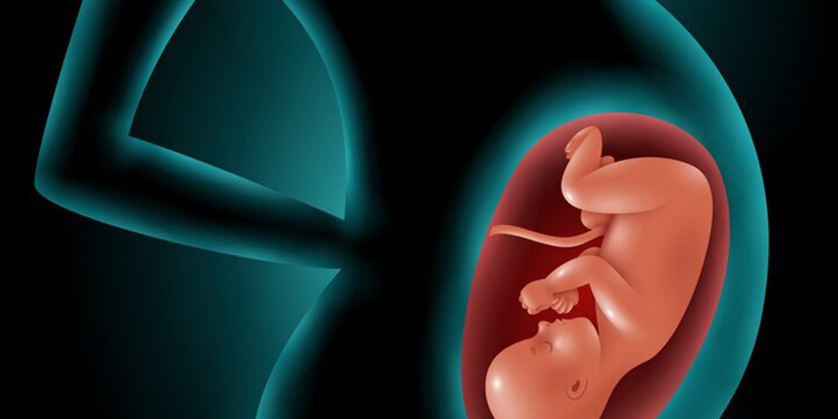 The role of omega3 fatty acids in pregnancy