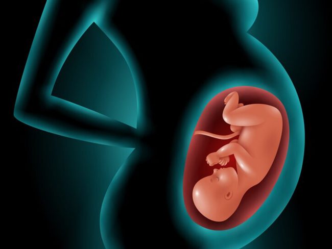 The role of omega3 fatty acids in pregnancy
