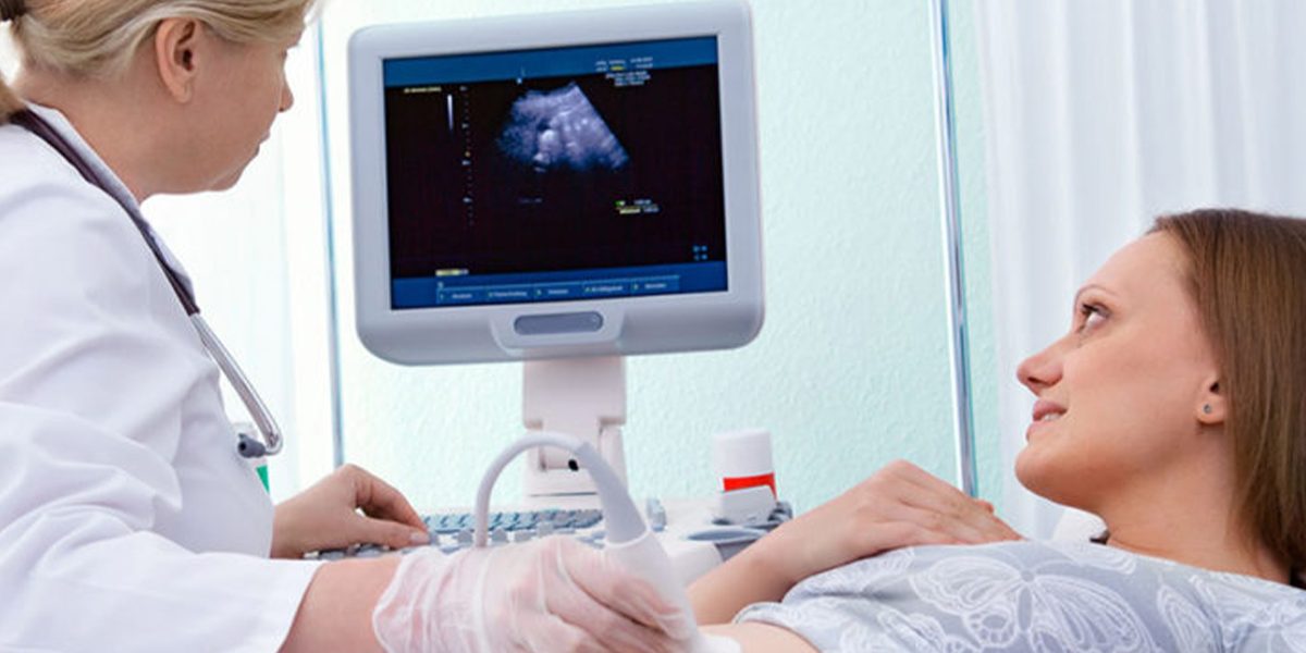 Follicular study procedures