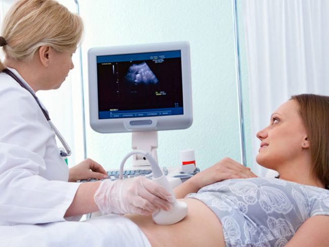 Follicular study procedures